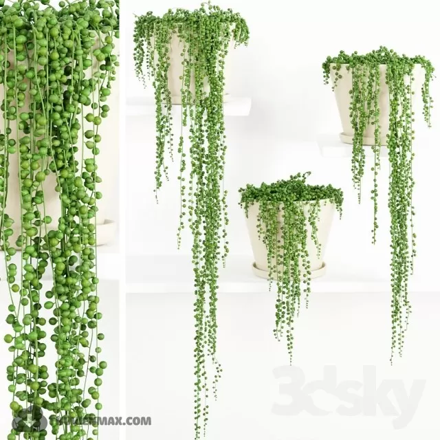 PRO PLANT 3D MODELS – 249