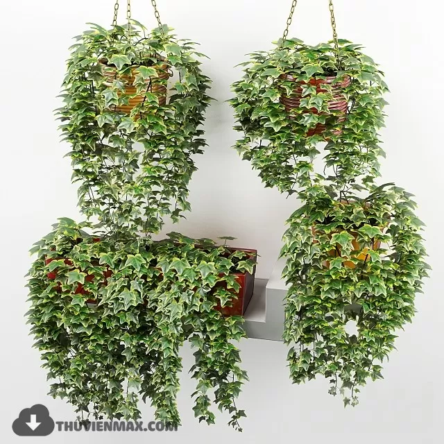 PRO PLANT 3D MODELS – 252