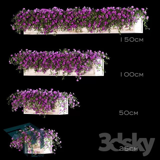 PRO PLANT 3D MODELS – 254