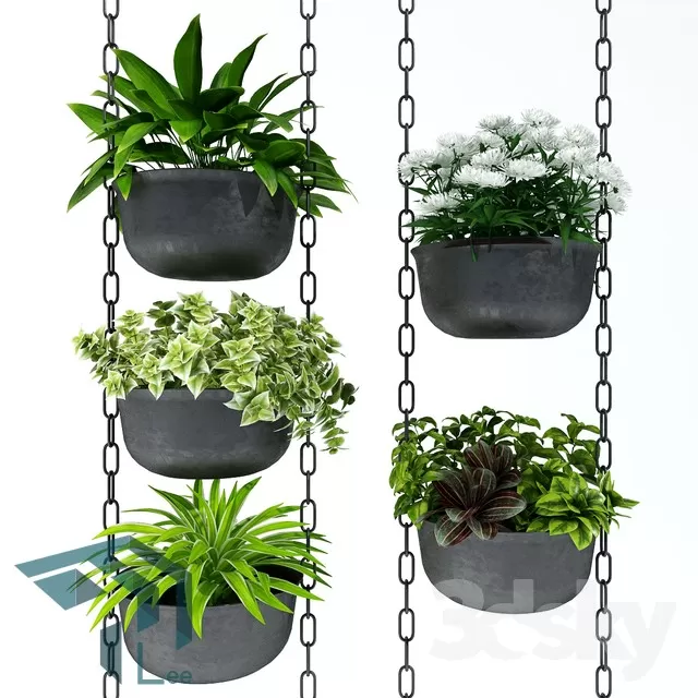 PRO PLANT 3D MODELS – 255