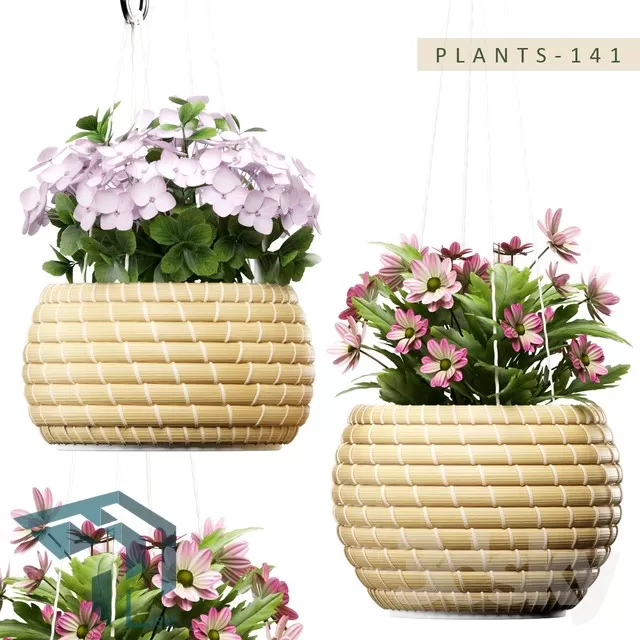 PRO PLANT 3D MODELS – 256