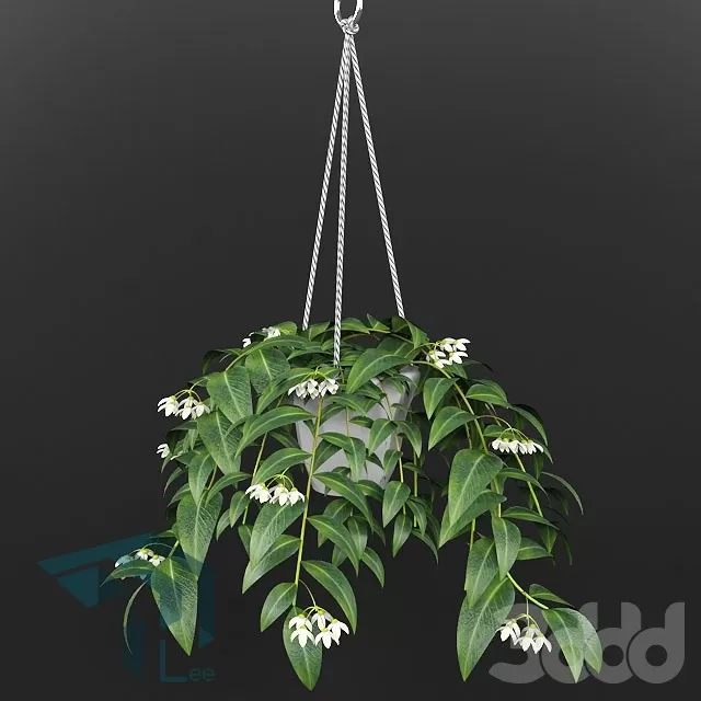 PRO PLANT 3D MODELS – 263