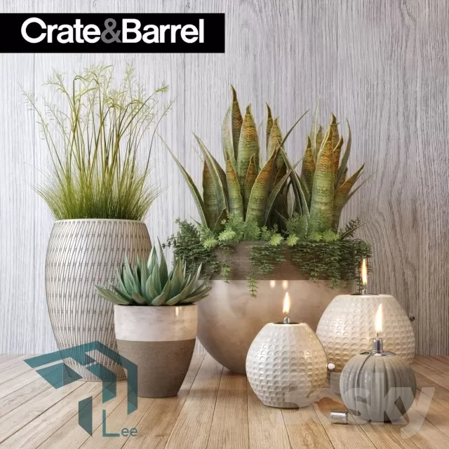 PRO PLANT 3D MODELS – 268