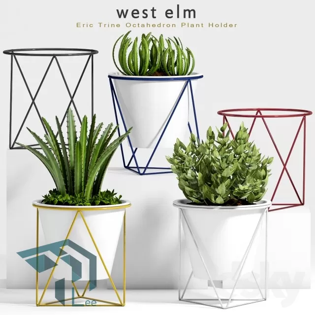 PRO PLANT 3D MODELS – 269