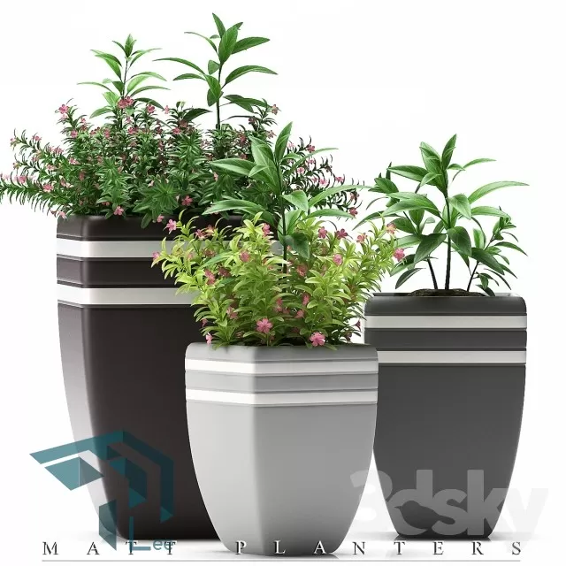 PRO PLANT 3D MODELS – 270