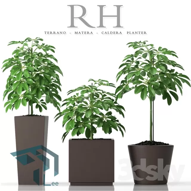 PRO PLANT 3D MODELS – 271