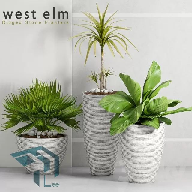 PRO PLANT 3D MODELS – 273