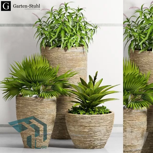 PRO PLANT 3D MODELS – 275