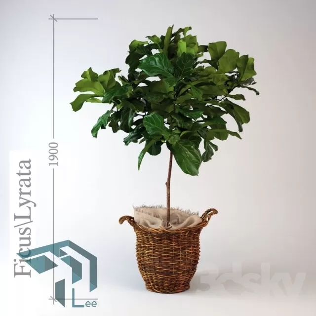 PRO PLANT 3D MODELS – 279