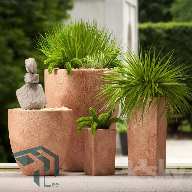 PRO PLANT 3D MODELS – 282