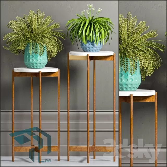 PRO PLANT 3D MODELS – 286