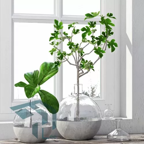 PRO PLANT 3D MODELS – 295