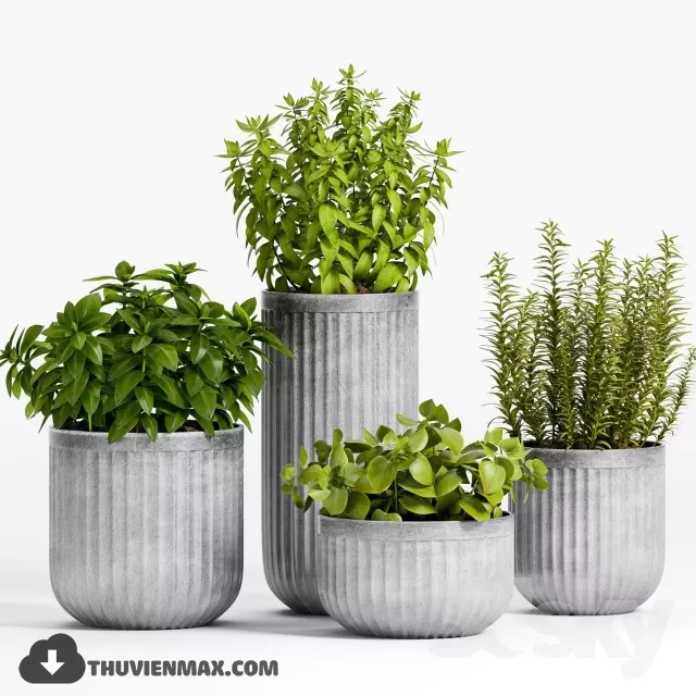 PRO PLANT 3D MODELS – 298