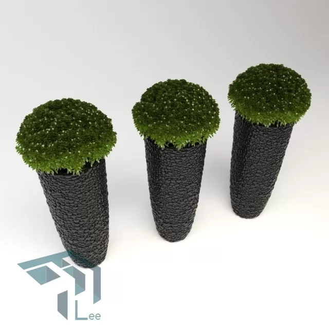 PRO PLANT 3D MODELS – 299
