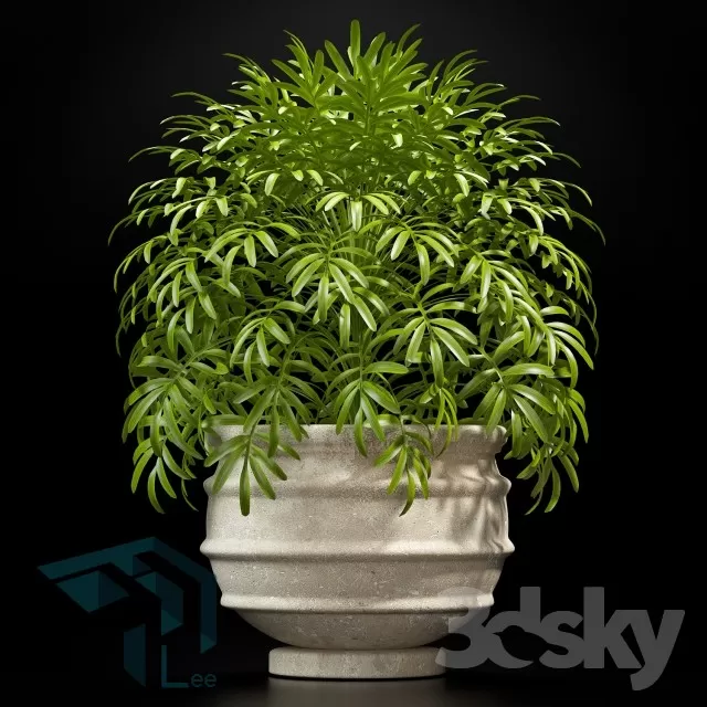 PRO PLANT 3D MODELS – 302