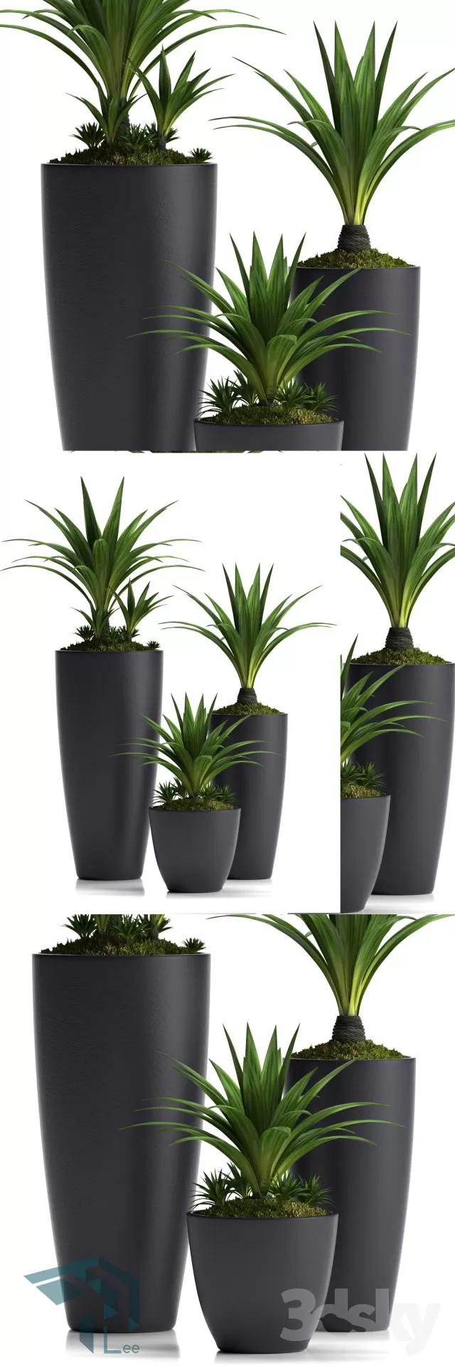 PRO PLANT 3D MODELS – 303
