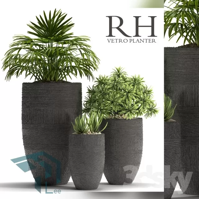 PRO PLANT 3D MODELS – 305