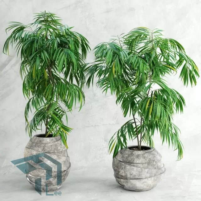 PRO PLANT 3D MODELS – 306