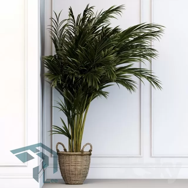 PRO PLANT 3D MODELS – 310