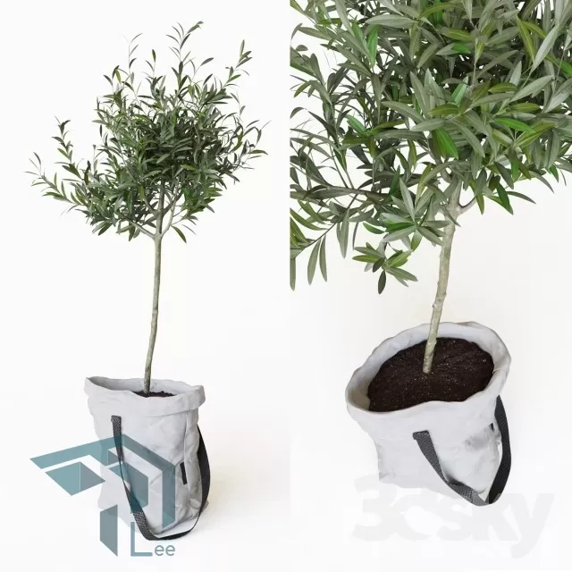 PRO PLANT 3D MODELS – 312