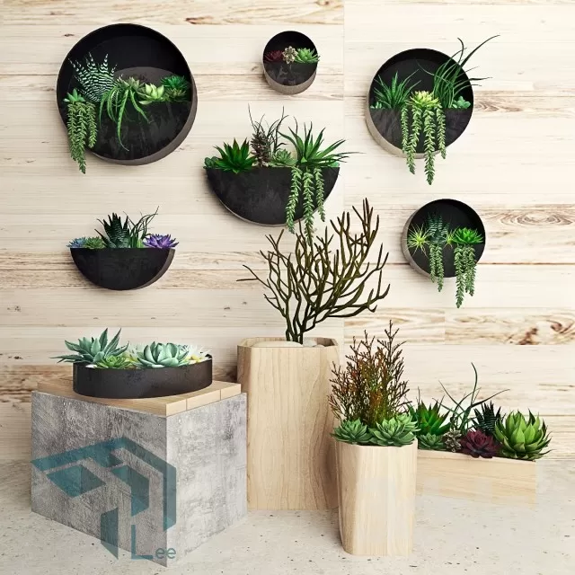 PRO PLANT 3D MODELS – 313