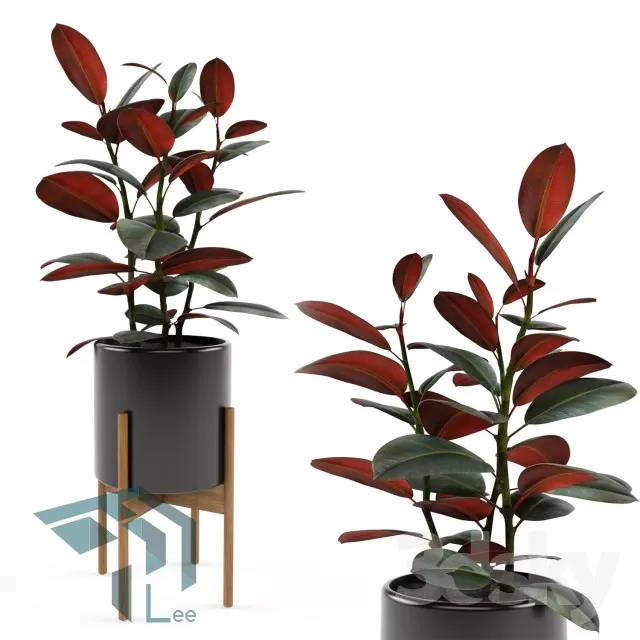 PRO PLANT 3D MODELS – 314