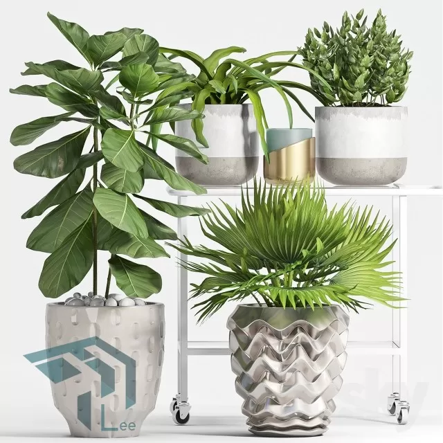 PRO PLANT 3D MODELS – 316