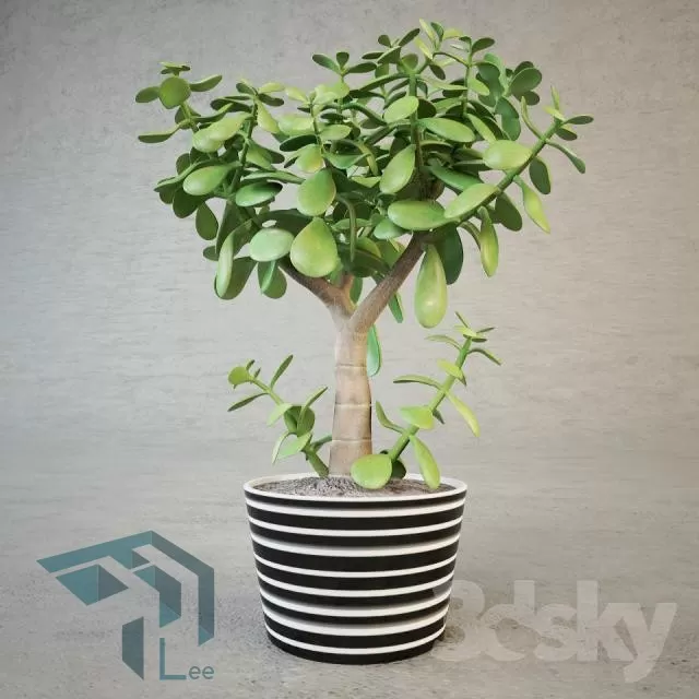 PRO PLANT 3D MODELS – 320
