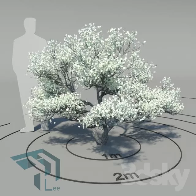 PRO PLANT 3D MODELS – 324