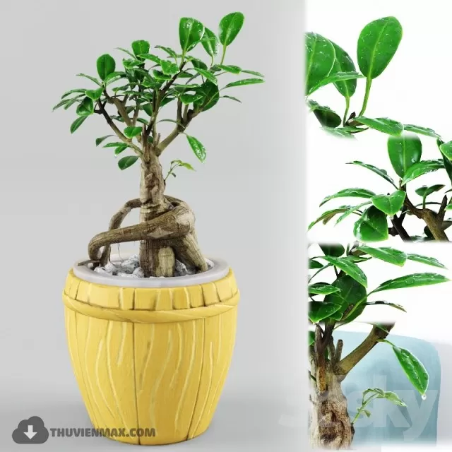 PRO PLANT 3D MODELS – 337