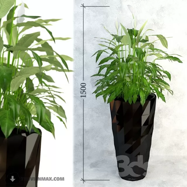 PRO PLANT 3D MODELS – 340