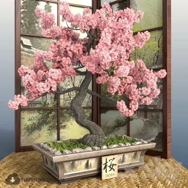 PRO PLANT 3D MODELS – 342