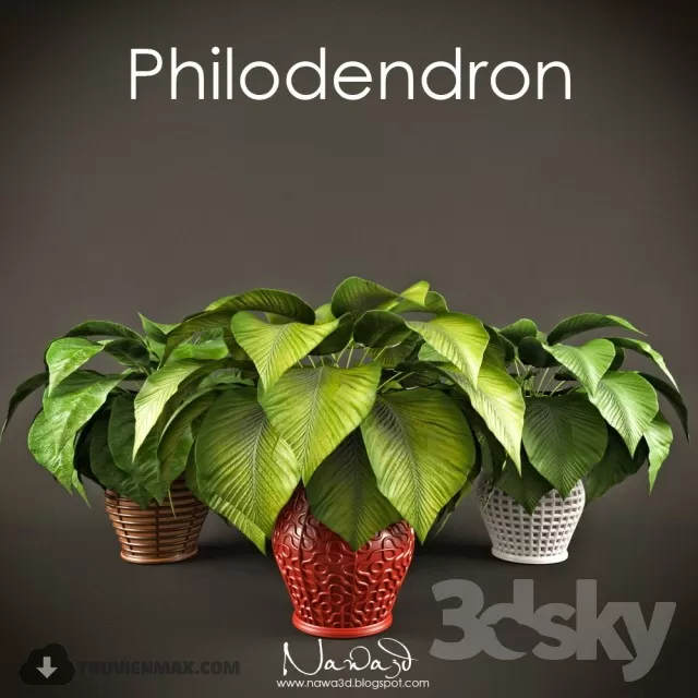 PRO PLANT 3D MODELS – 347