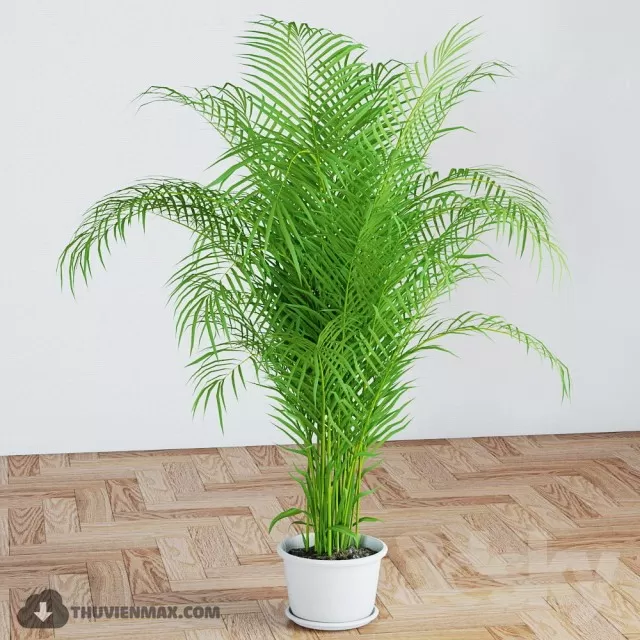 PRO PLANT 3D MODELS – 349