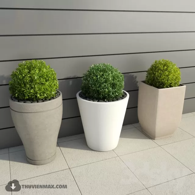 PRO PLANT 3D MODELS – 356