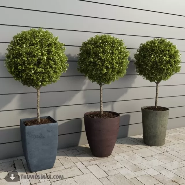 PRO PLANT 3D MODELS – 366