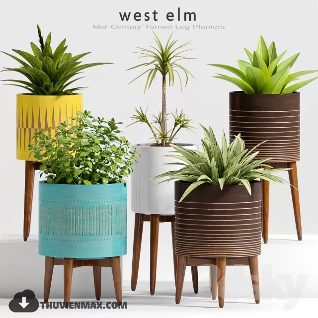 PRO PLANT 3D MODELS – 374