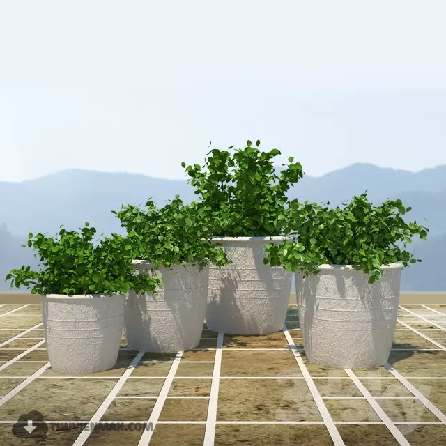 PRO PLANT 3D MODELS – 378