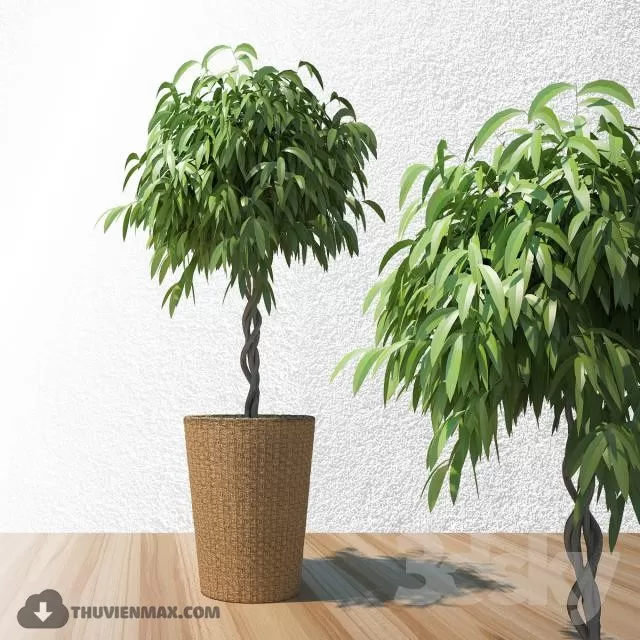 PRO PLANT 3D MODELS – 380