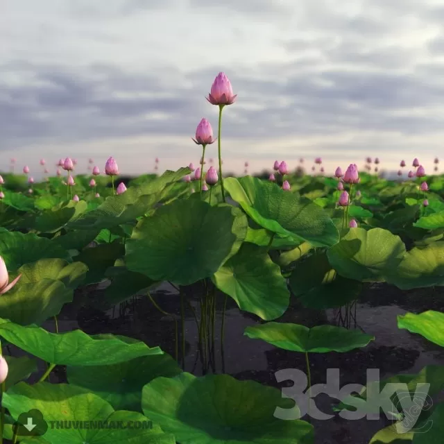 PRO PLANT 3D MODELS – 381