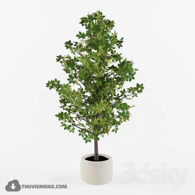 PRO PLANT 3D MODELS – 383