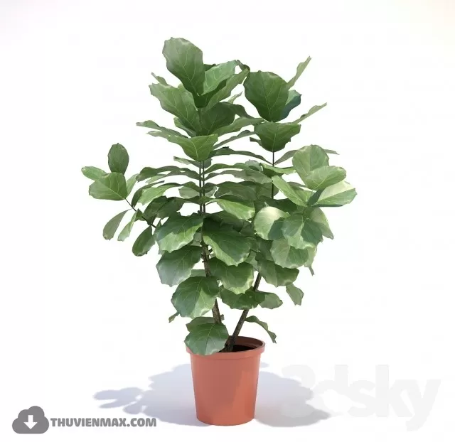 PRO PLANT 3D MODELS – 393