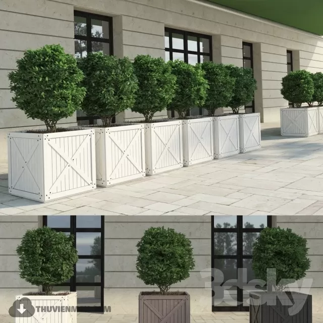 PRO PLANT 3D MODELS – 394