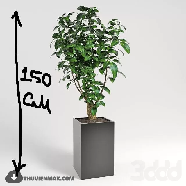 PRO PLANT 3D MODELS – 401