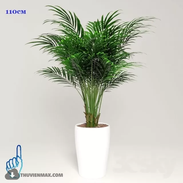 PRO PLANT 3D MODELS – 402