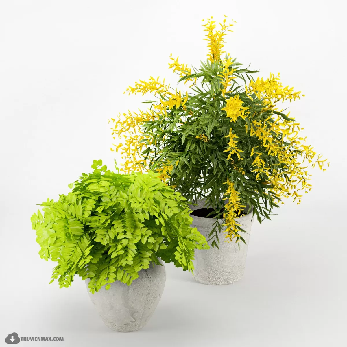 PRO PLANT 3D MODELS – 411