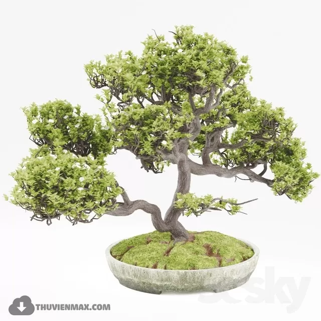 PRO PLANT 3D MODELS – 413