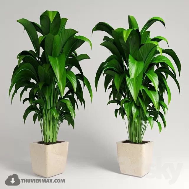 PRO PLANT 3D MODELS – 416