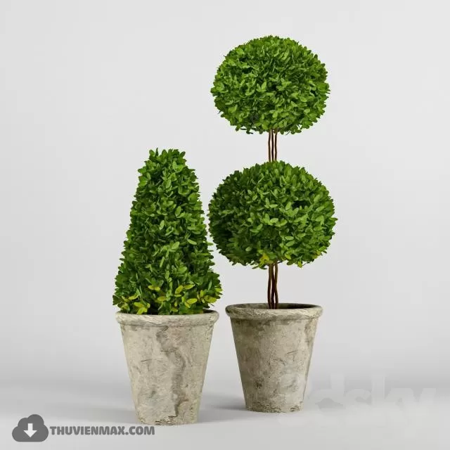 PRO PLANT 3D MODELS – 417