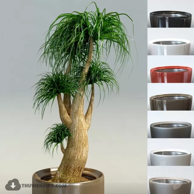 PRO PLANT 3D MODELS – 424